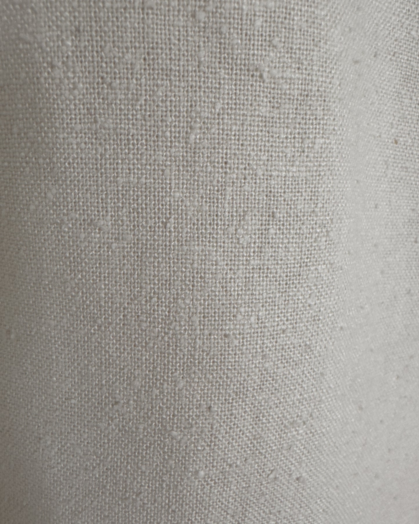 Raw Silk Shorts